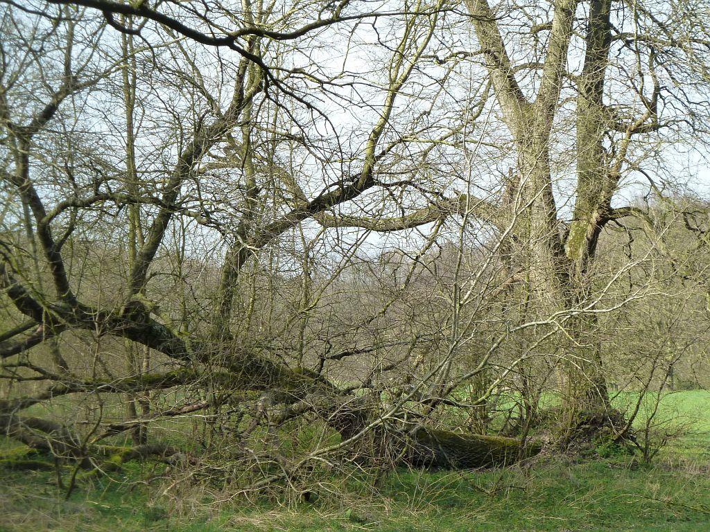 Zuidweide - Amsterdam