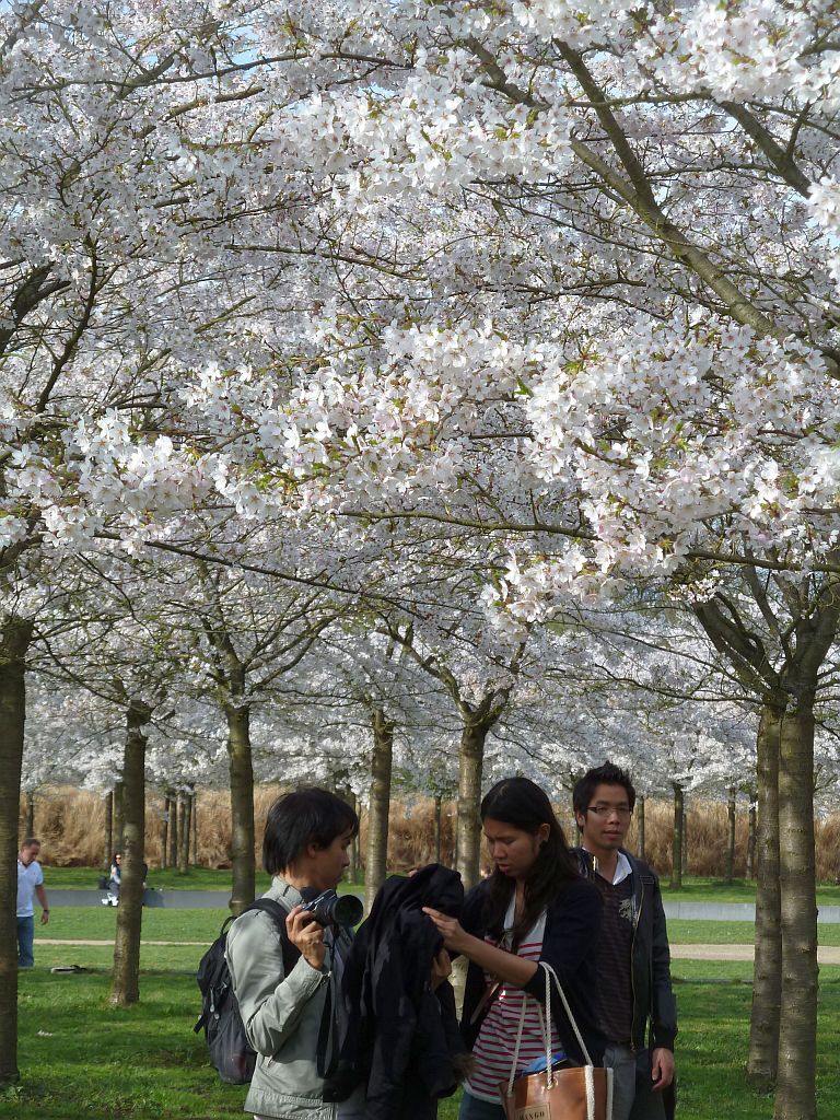 Bloesempark - Amsterdam