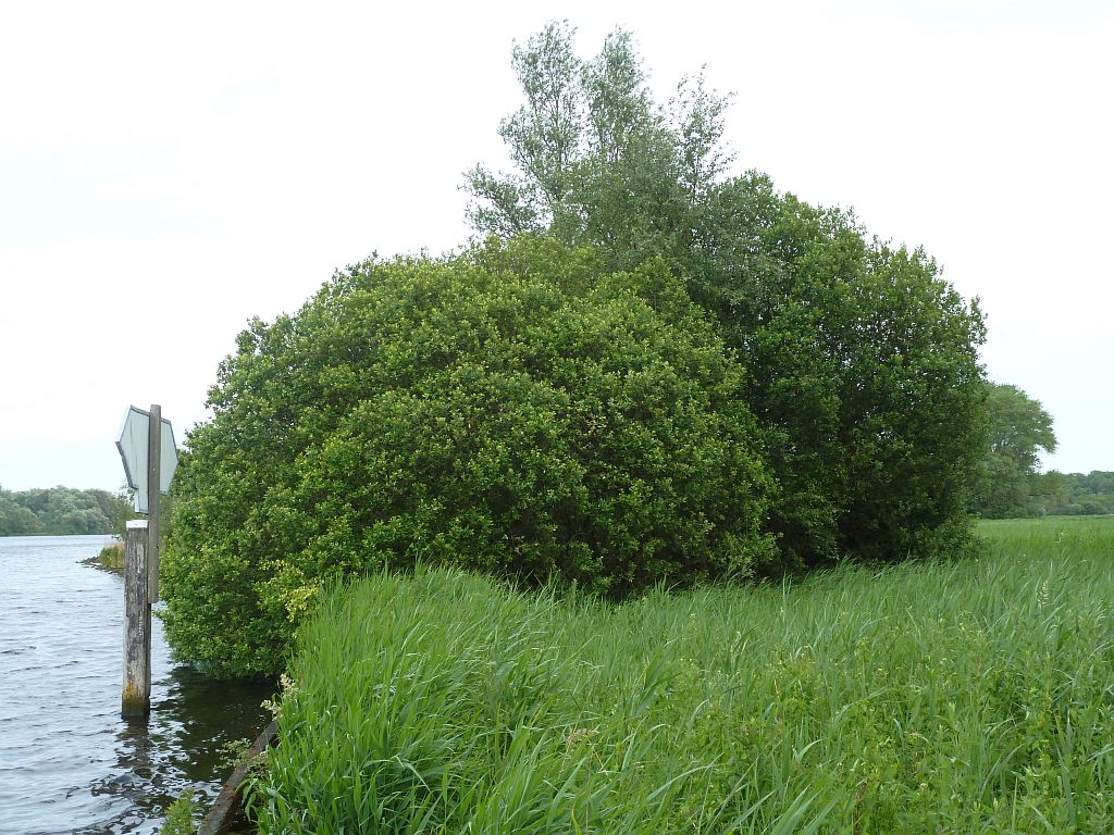 Oeverlanden Nieuwe Meer - Amsterdam