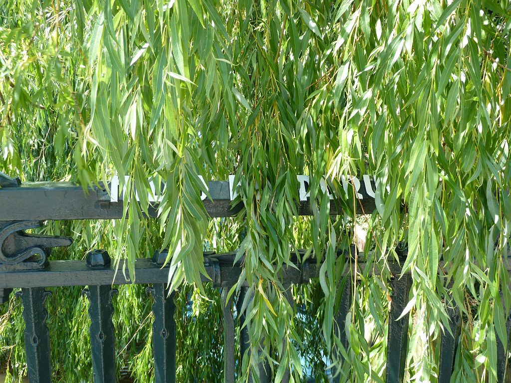 Hildo Kropbrug (Brug 419) - Amsterdam