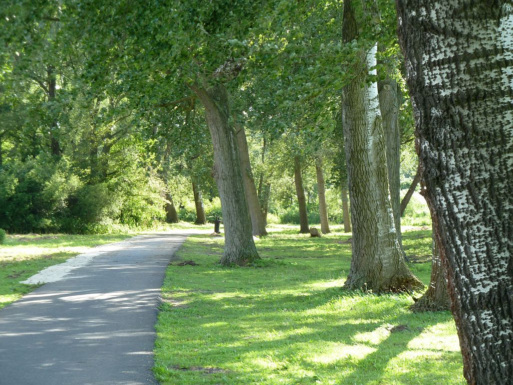 Bij Brug 1541 - Amsterdam