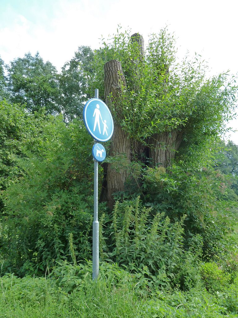 Sportpark Nieuwe Kalfjeslaan - Amsterdam