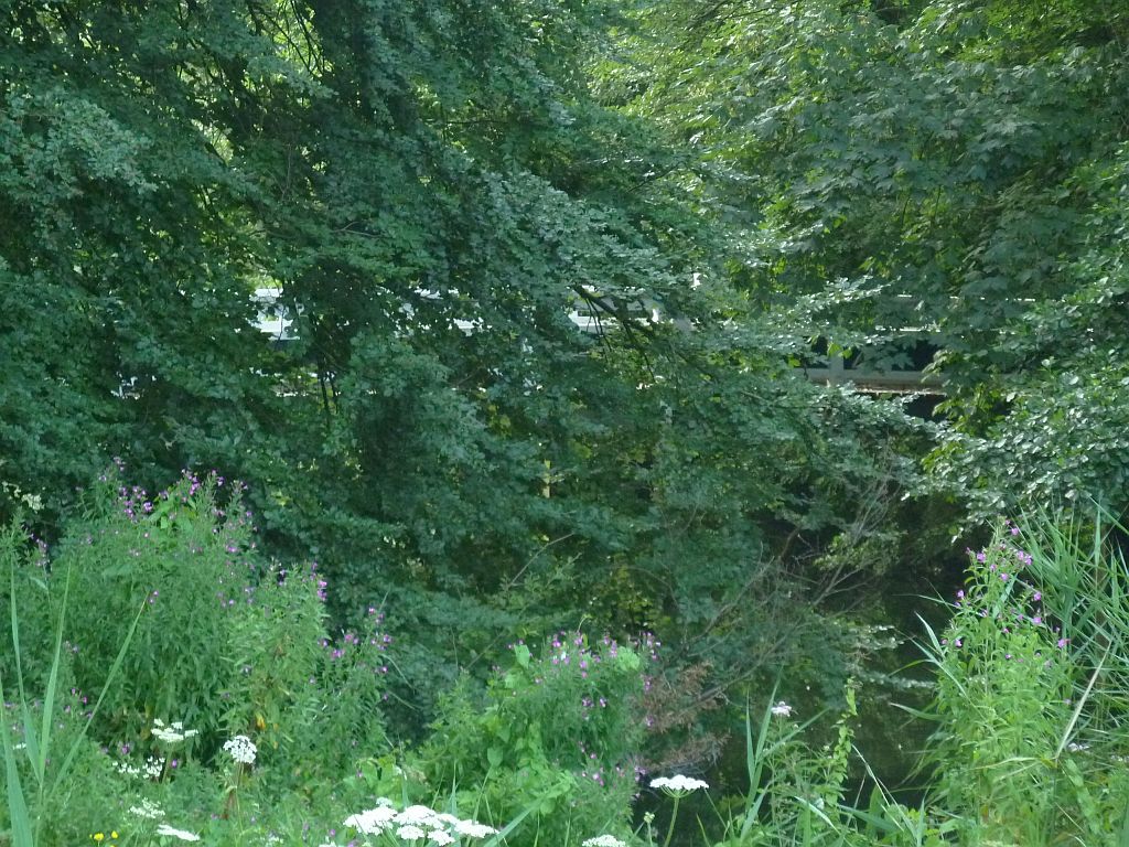 Graspad langs de A9 - Amsterdam