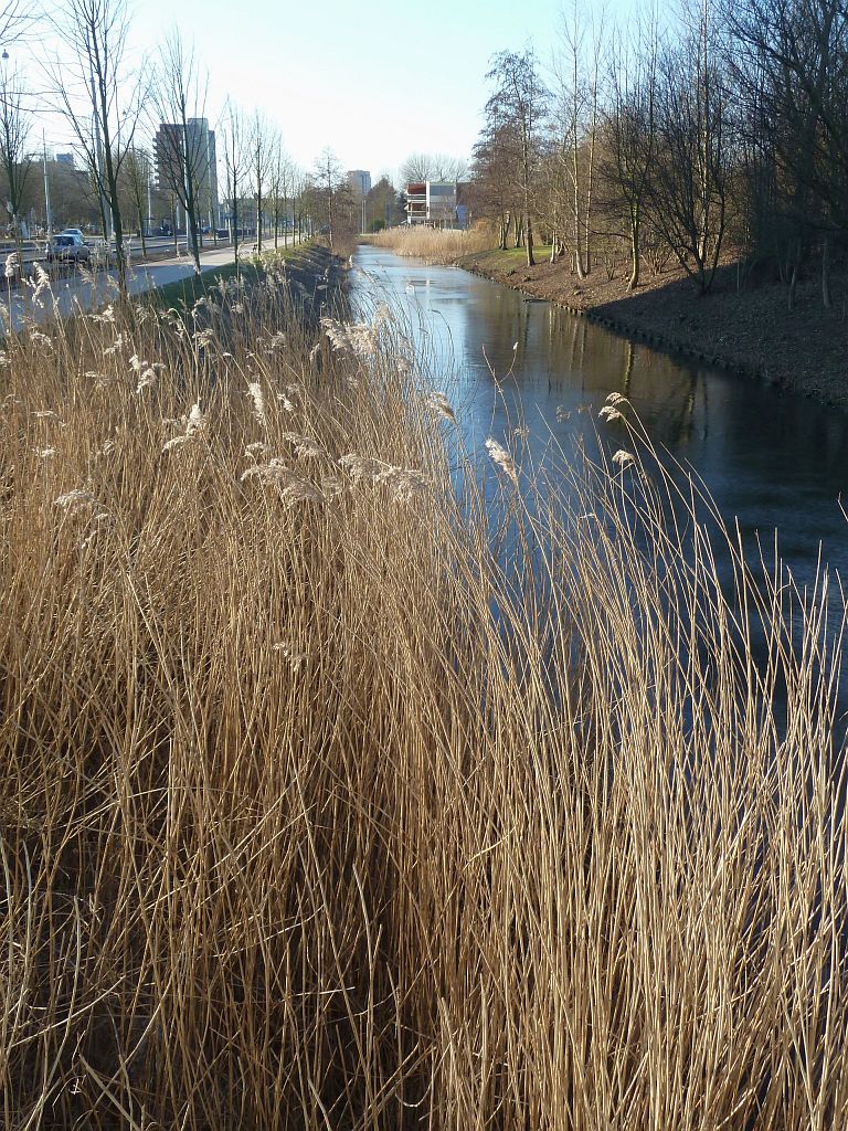 Louwesweg - Amsterdam