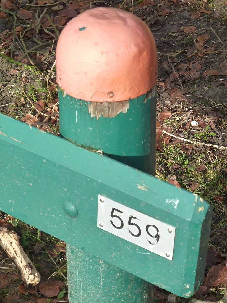 Brug 559 - Amsterdam