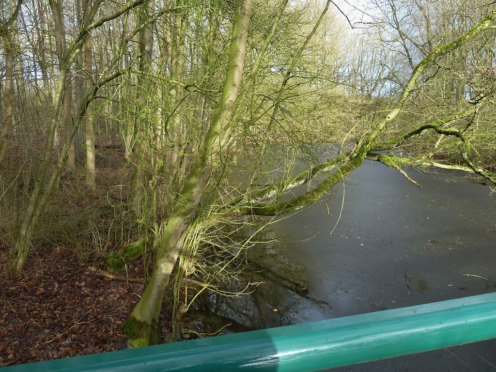 Brug 559 - Amsterdam