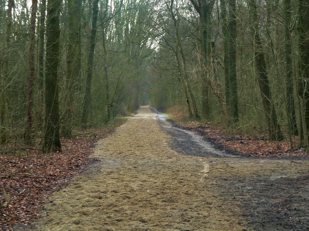 Bosrandweg - Amsterdam