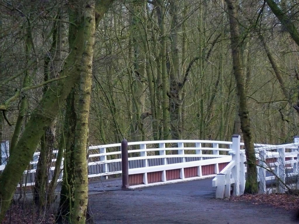 Brug 555 - Amsterdam