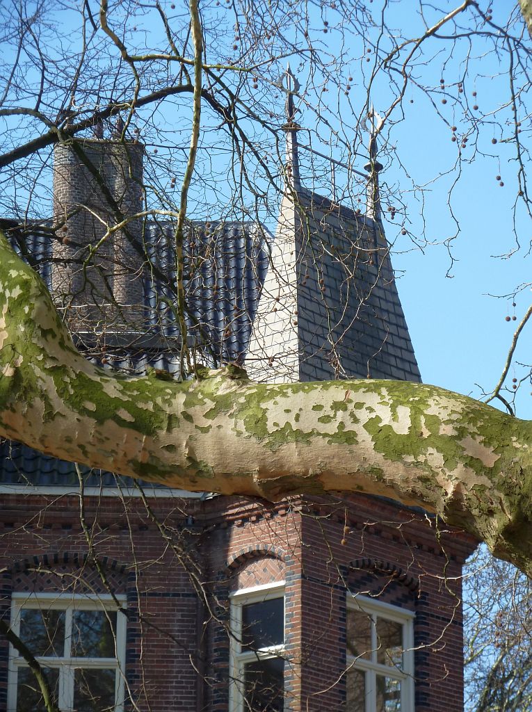 Vondelstraat - Amsterdam