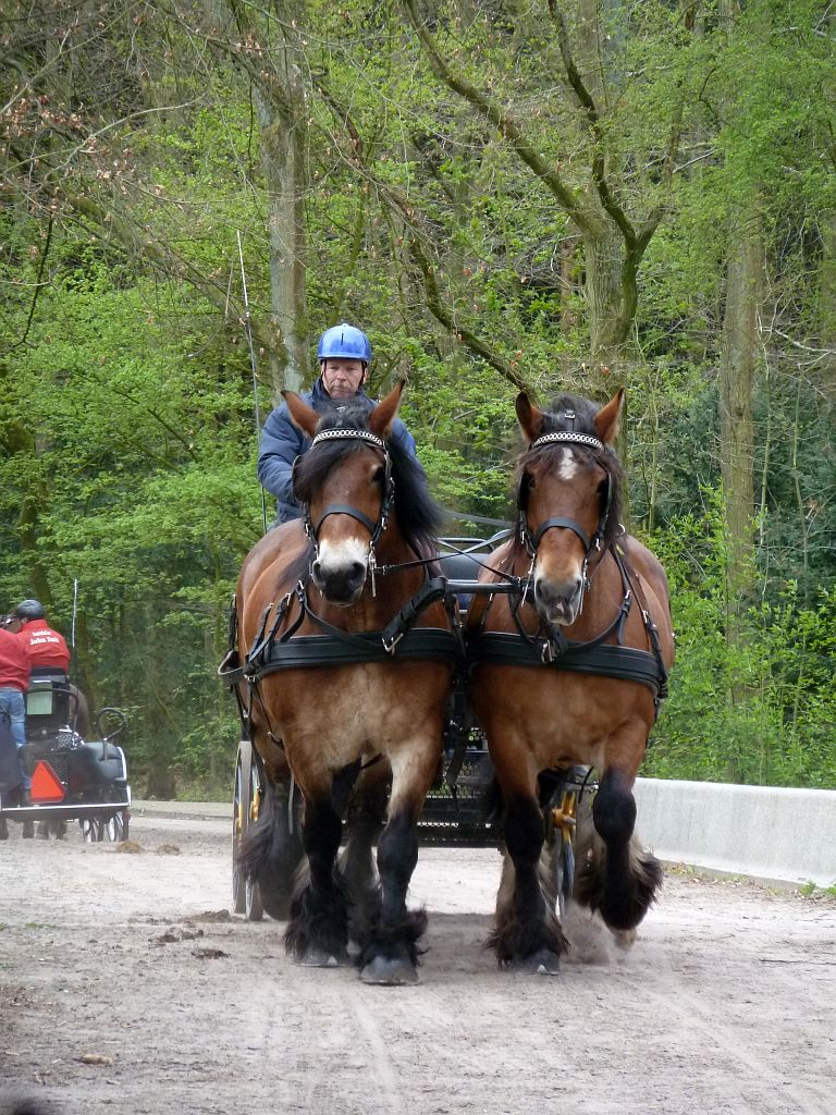 Menwedstrijd 2012 - Amsterdam