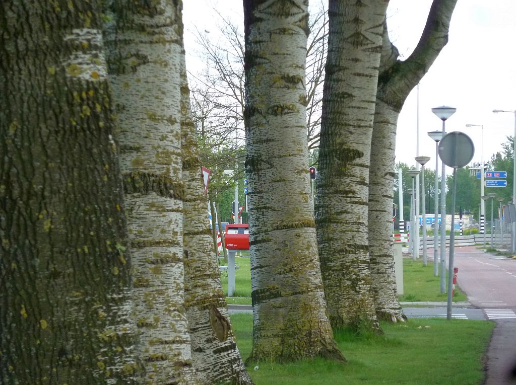 Stekkenbergweg - Amsterdam