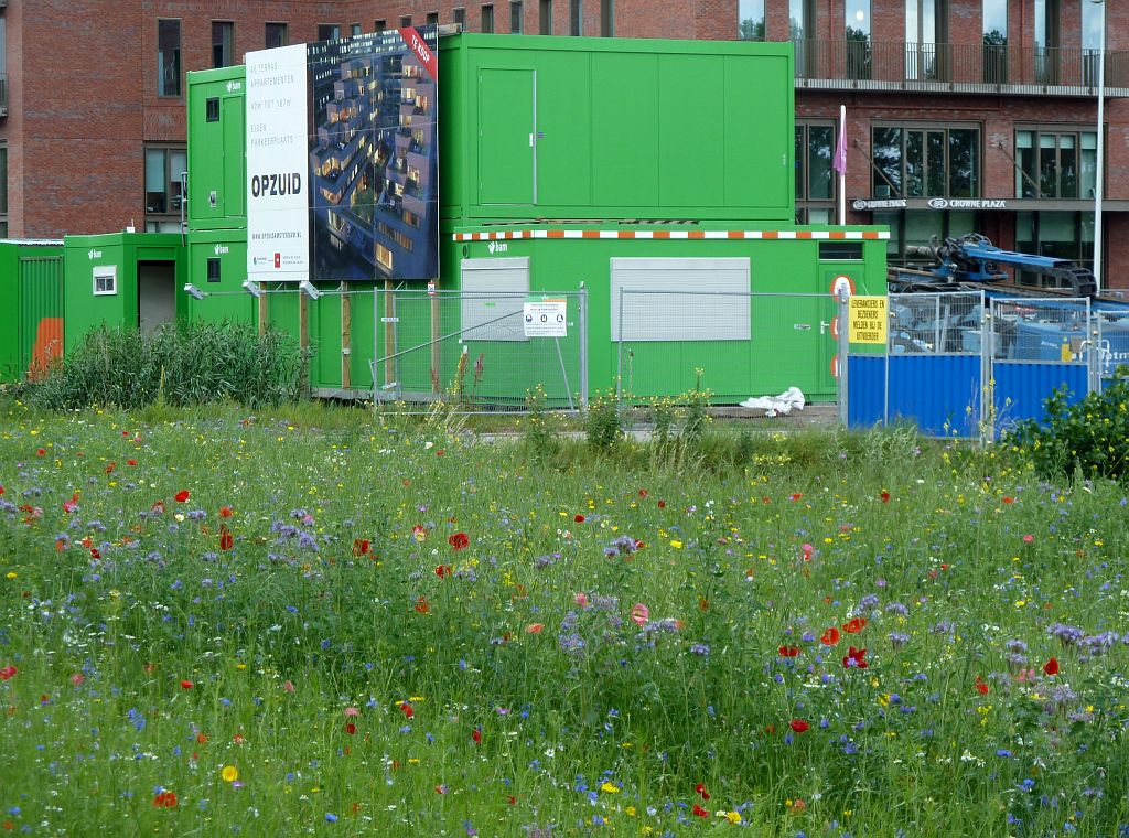 OpZuid - Nieuwbouw - Amsterdam