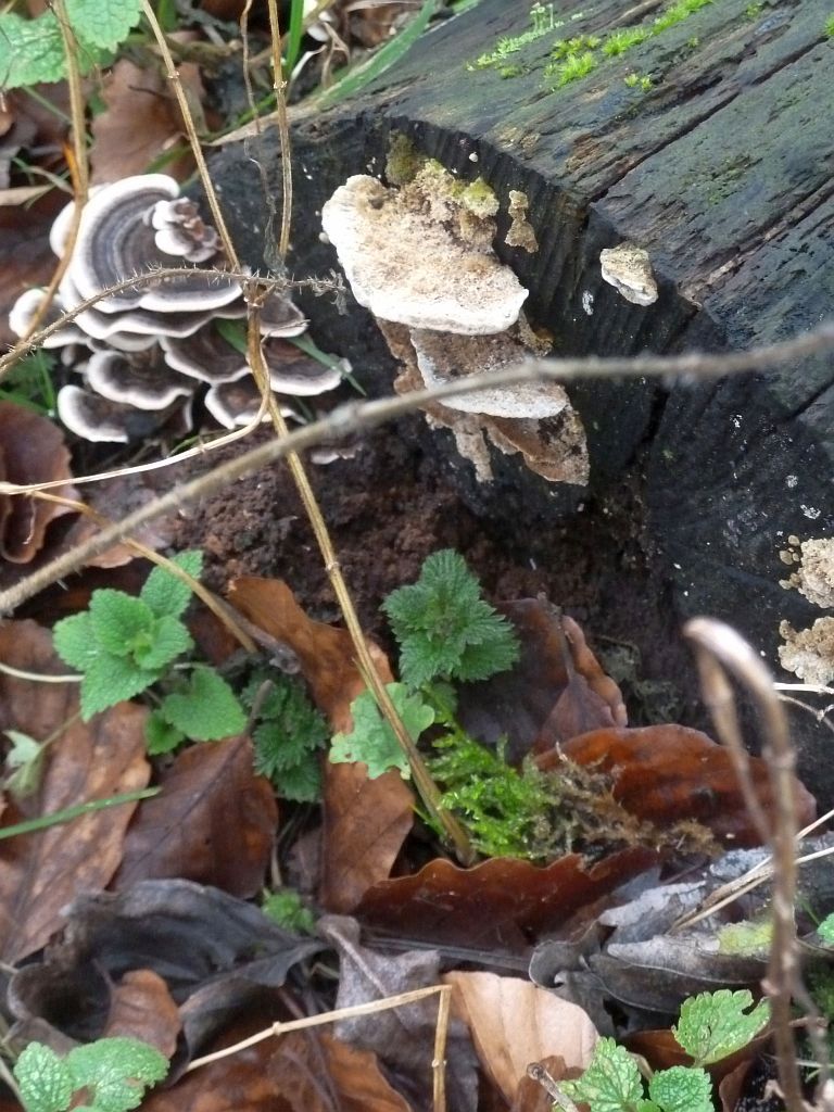 Bij Brug 517 - Amsterdam