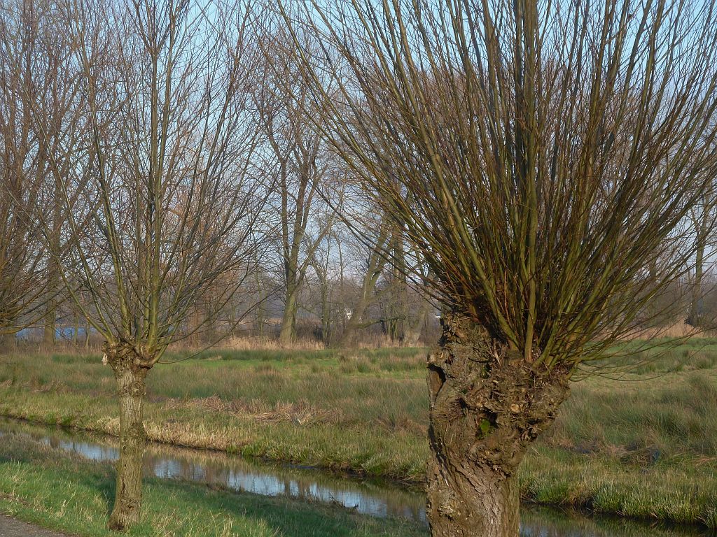 Polder Meerzicht - Amsterdam