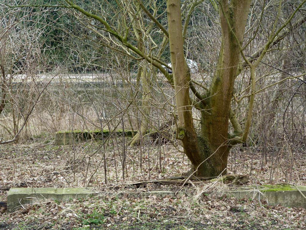 Schipholdijk - Amsterdam