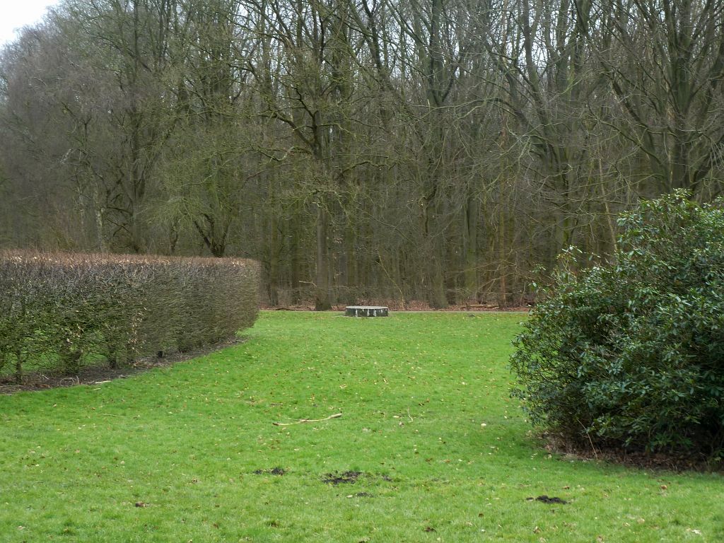 Tussen Grote Speelweide en Groot Kinderbad - Amsterdam