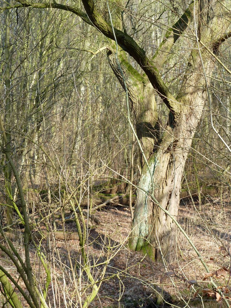 Tussen Brug 534 en Brug 535 - Amsterdam