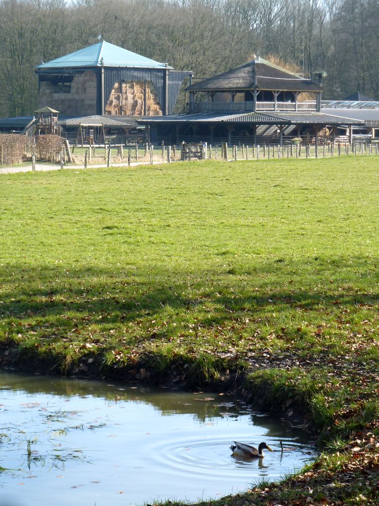 Geitenboerderij Ridammerhoeve - Amsterdam