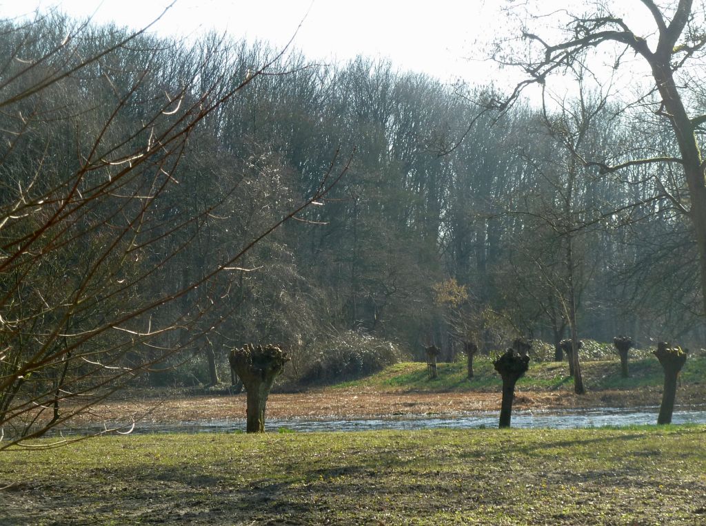 Vogeleiland - Amsterdam