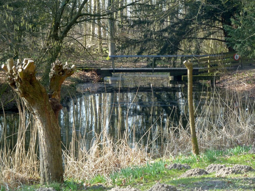 Brug 538 - Vogeleiland - Amsterdam