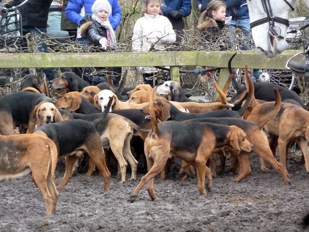 Slipjacht 2013 - Amsterdam