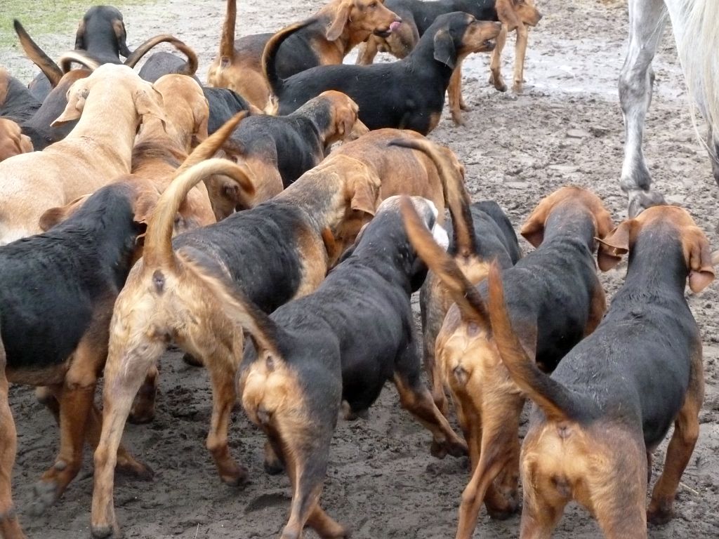 Slipjacht 2013 - Amsterdam