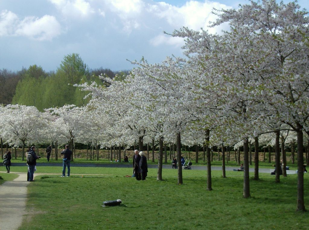 Bloesempark - Amsterdam