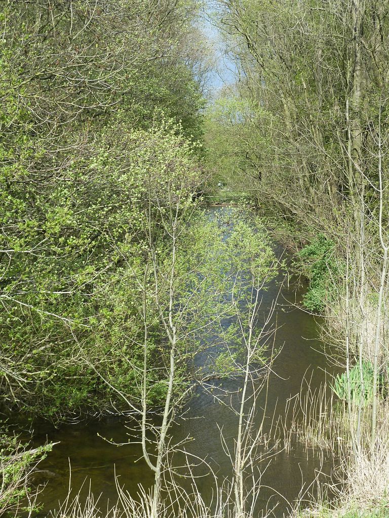 Bosrandweg - Amsterdam