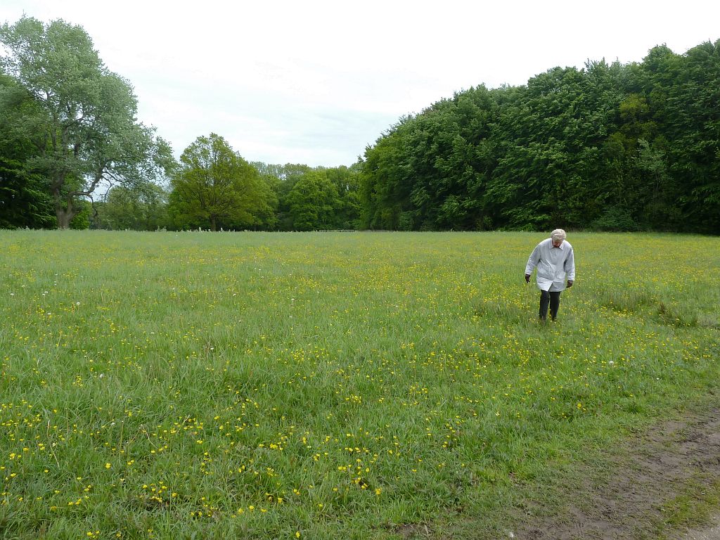 Paardenpicknick - Amsterdam