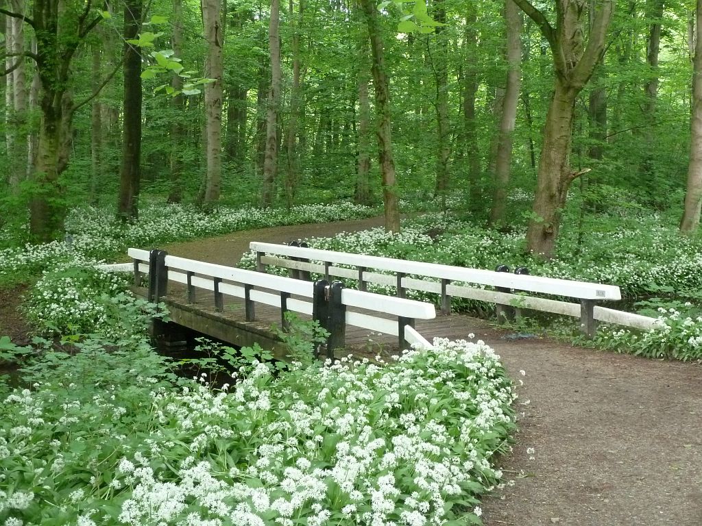 Daslook - Brug 535 - Amsterdam