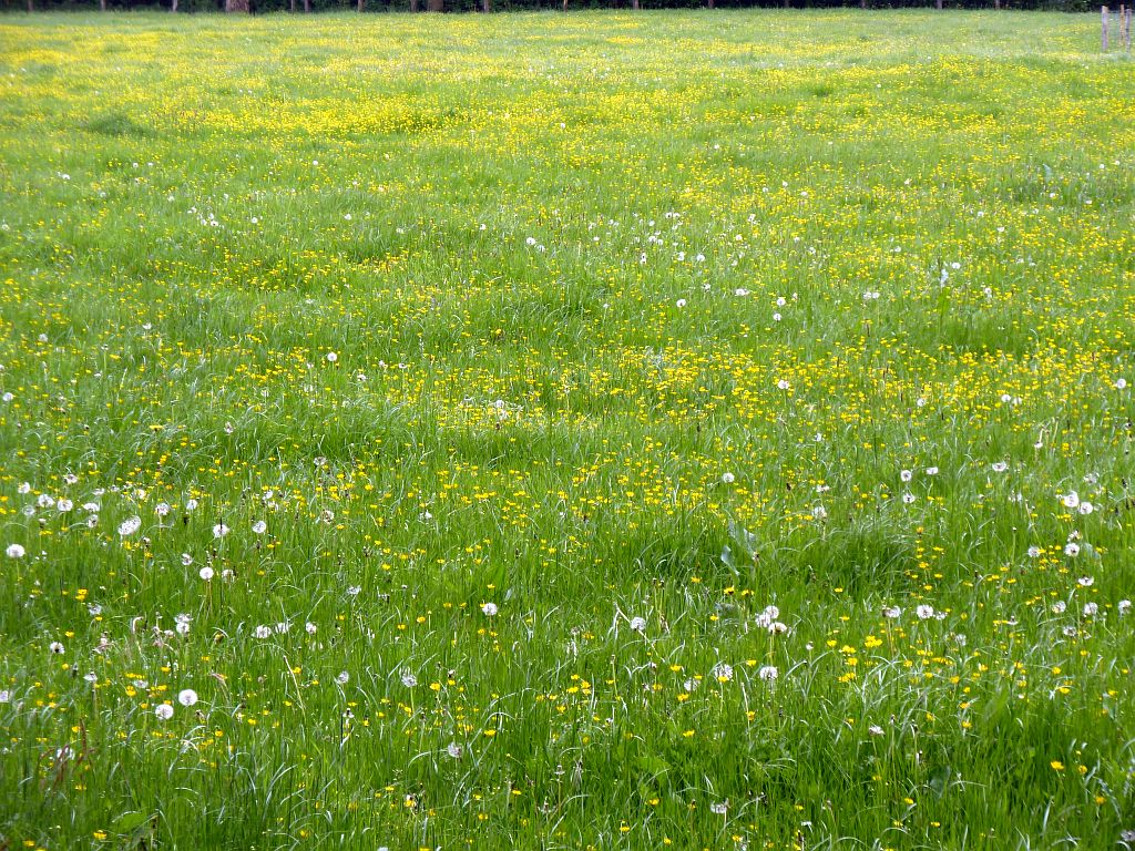 Geitenboerderij Ridammerhoeve - Amsterdam