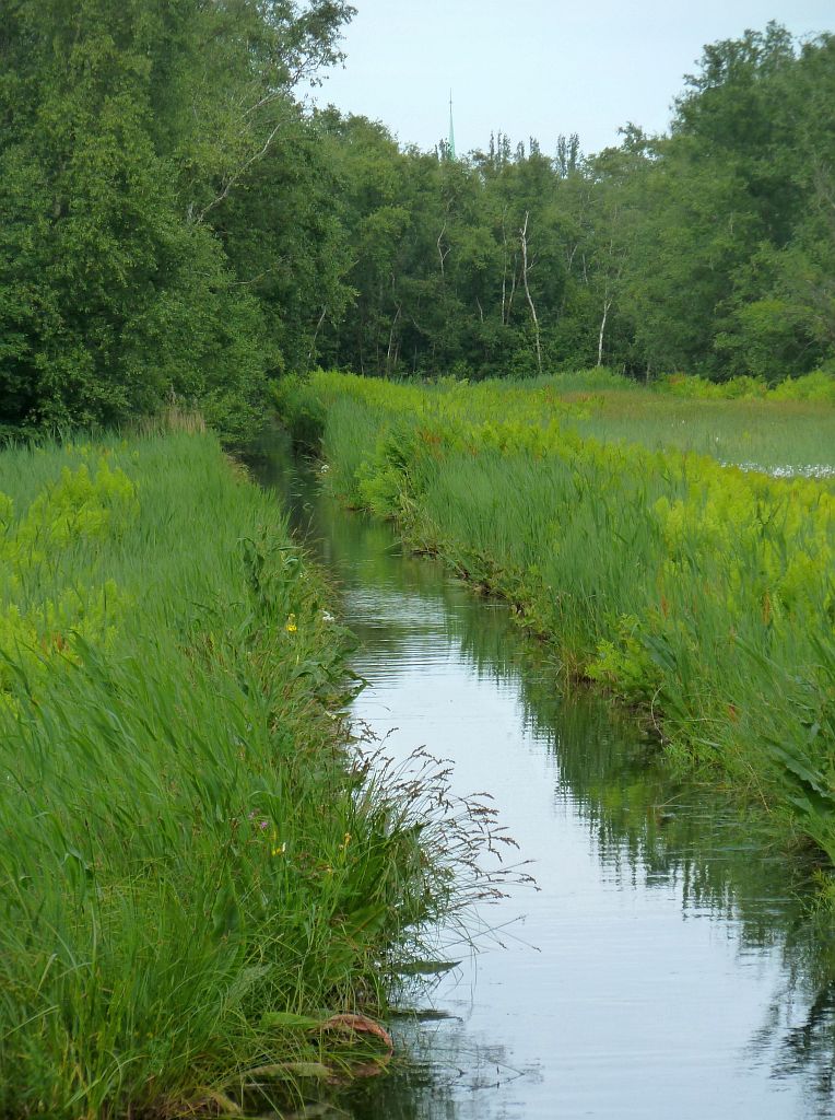 Oeverlanden De Poel - Amsterdam