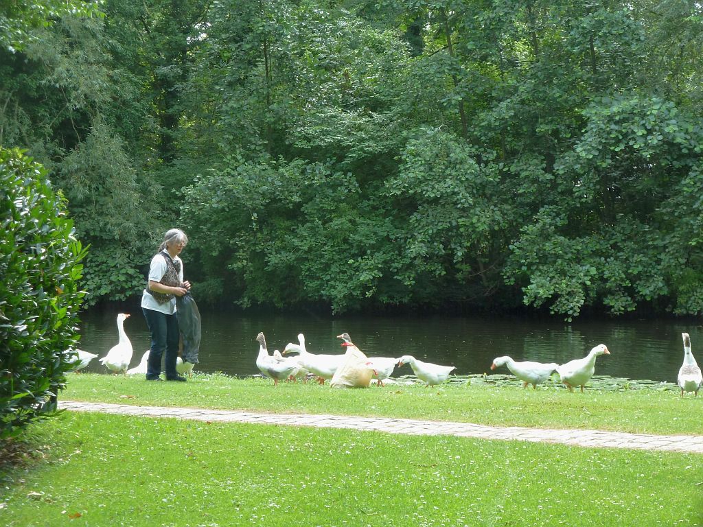 Beethovenvijver - Amsterdam