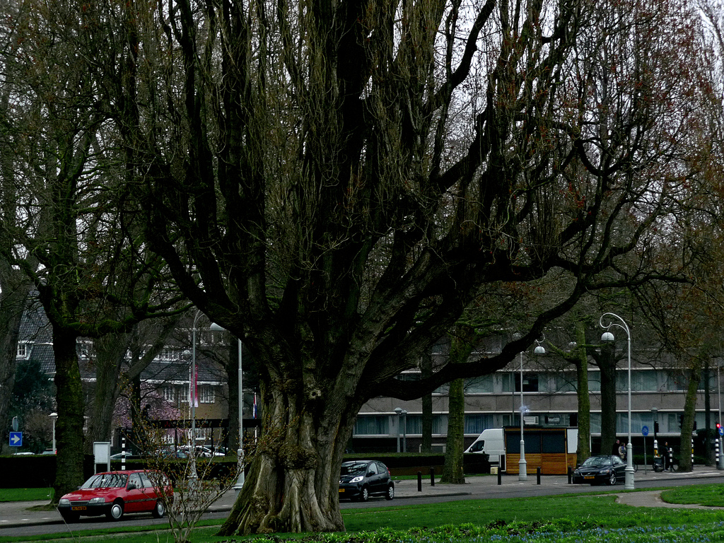 Appollolaan - Amsterdam