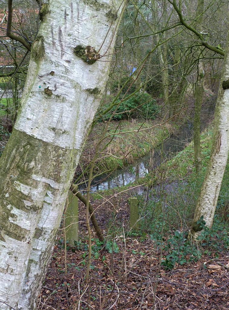 Nieuwe Kalfjeslaan - Amsterdam