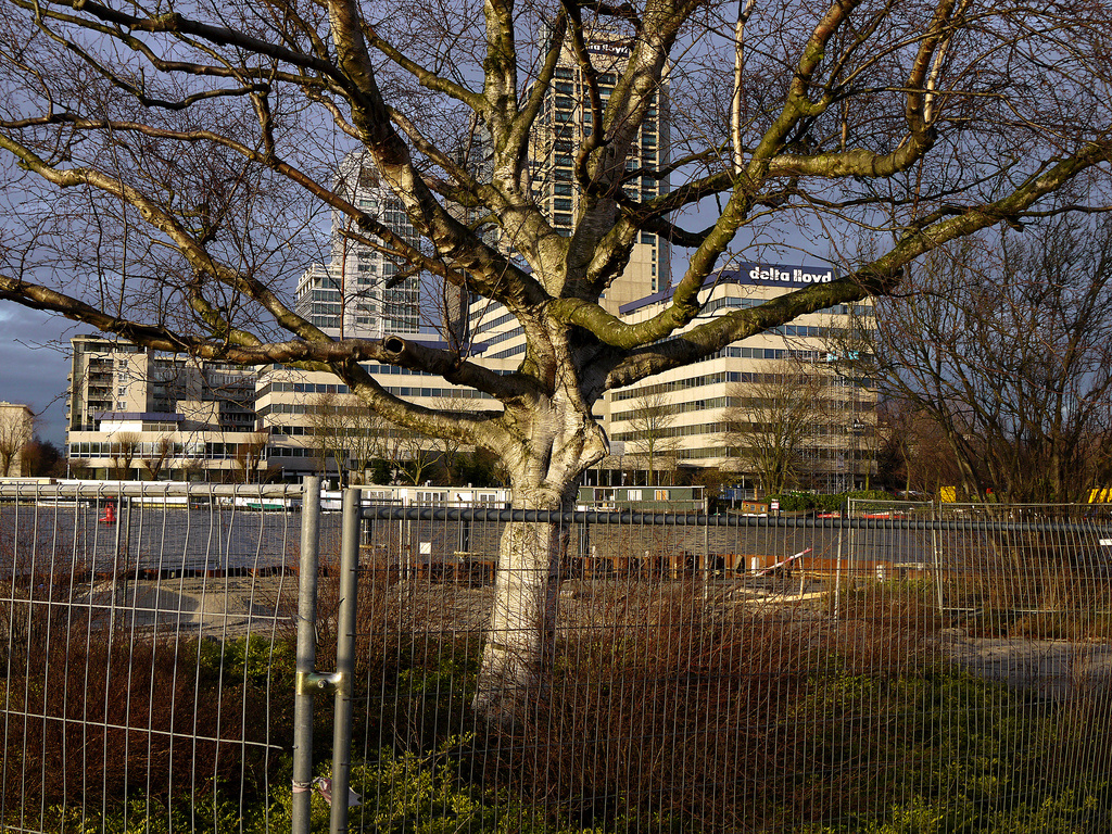 Omval - Mondriaan Toren - Amsterdam