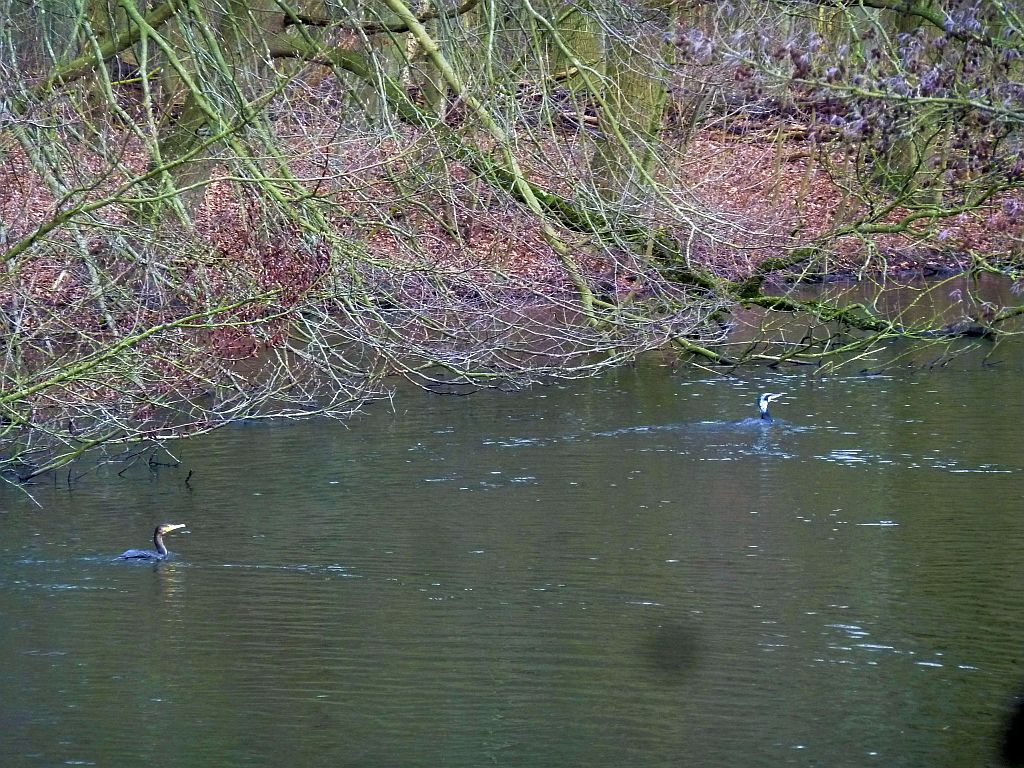 Sinnigepad - Amsterdam