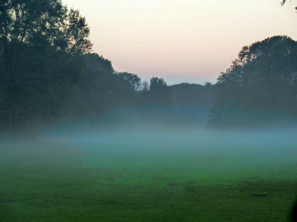 Sportvelden Nieuwe Kalfjeslaan - Amsterdam