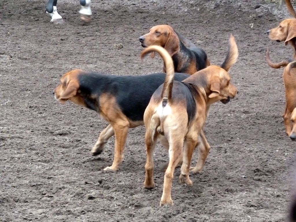 Slipjacht 2015 - Amsterdam