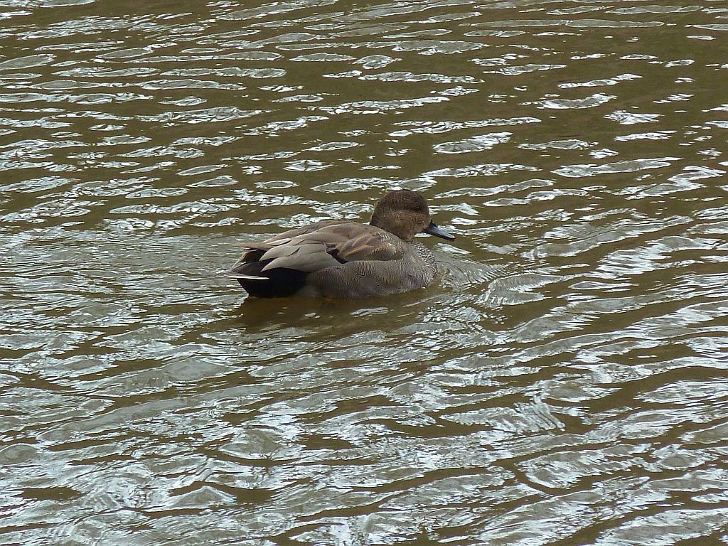 Taludweg - Krakeend - Amsterdam