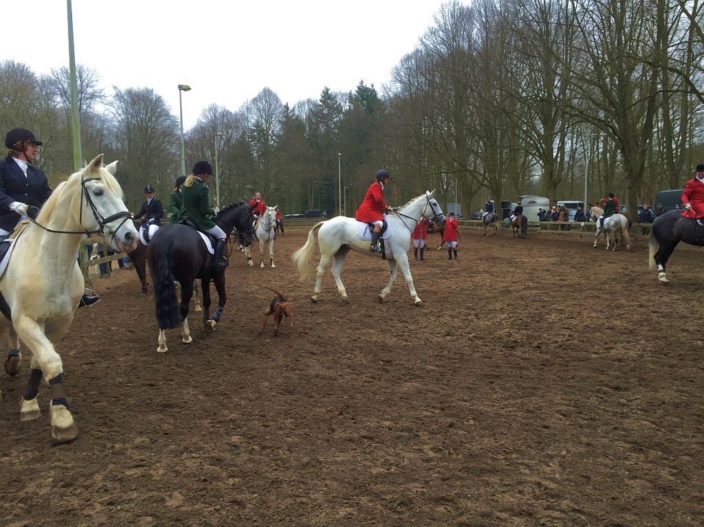 Slipjacht2015 - Amsterdam