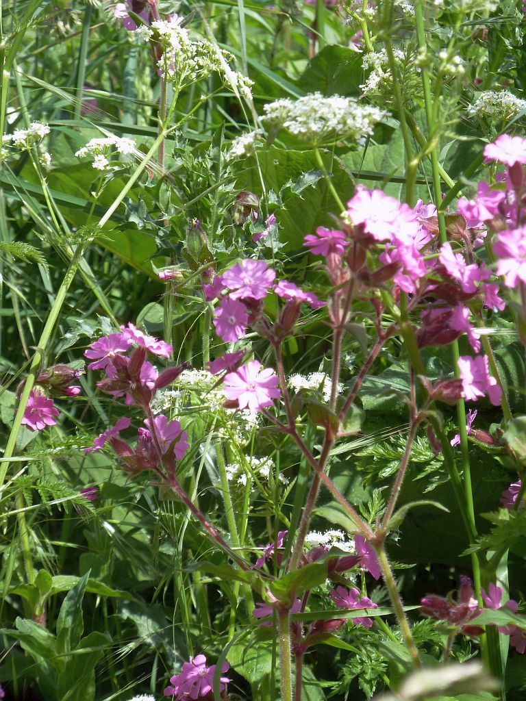 Beethovenstraat - Amsterdam