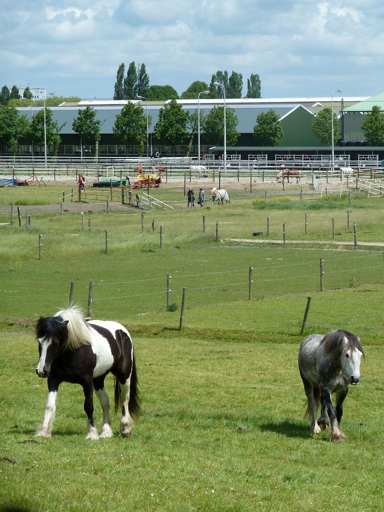 Paardensportcentrum Wennekers - Amsterdam