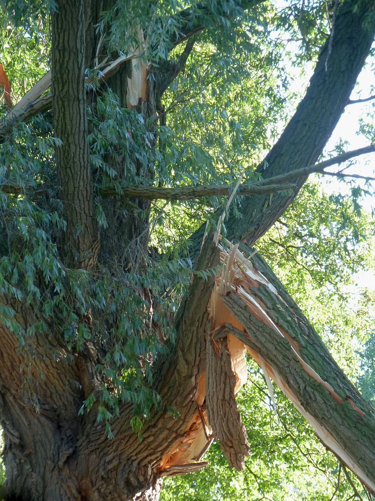 Zomerstorm 2015 - Amsterdam