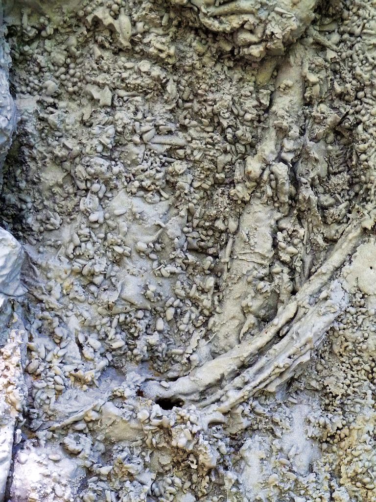 ArtZuid 2015 - Tal R - Carob - Amsterdam