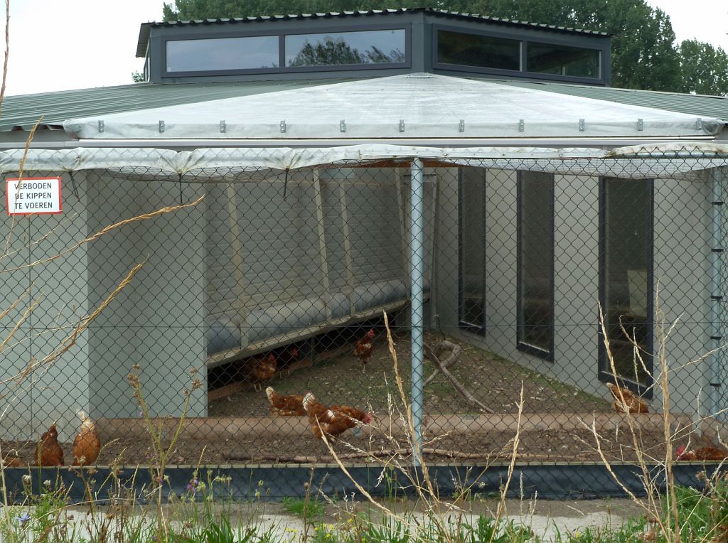 Mini Rondeel 't Ei-land - Amsterdam