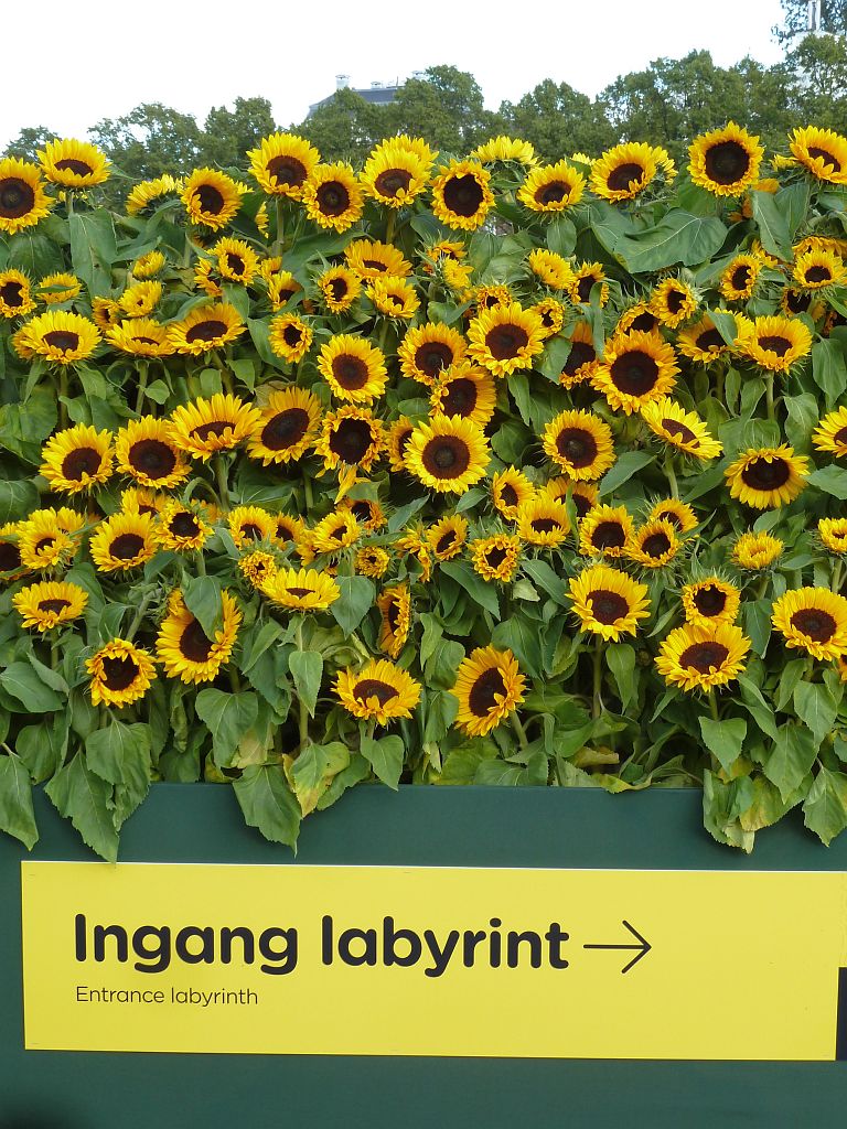 Van Gogh Museum - 125.000 Zonnebloemen ivm Opening Entree - Amsterdam