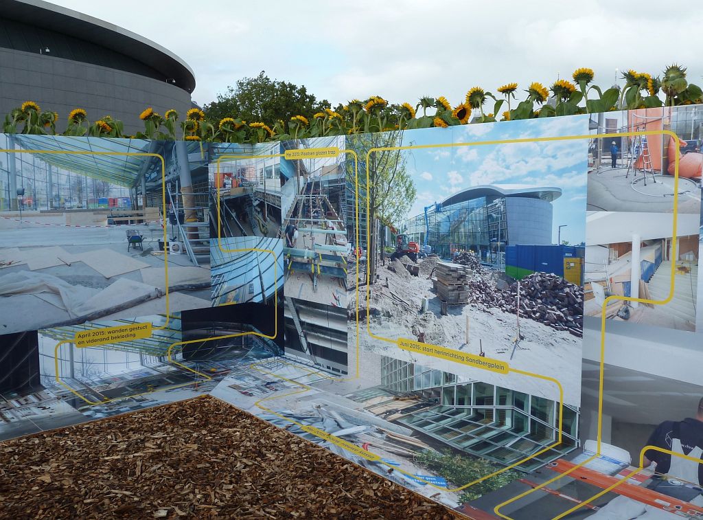 Van Gogh Museum - 125.000 Zonnebloemen ivm Opening Entree - Amsterdam