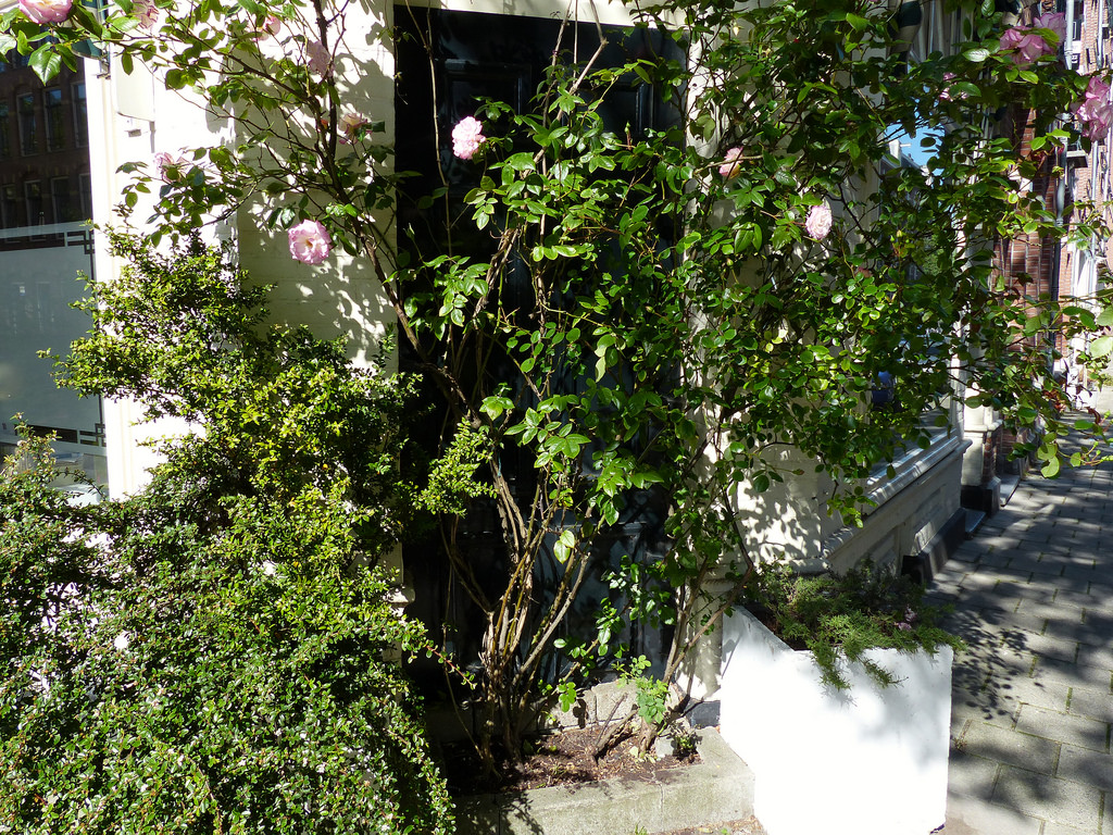 Balthazar Florisz.straat - Amsterdam