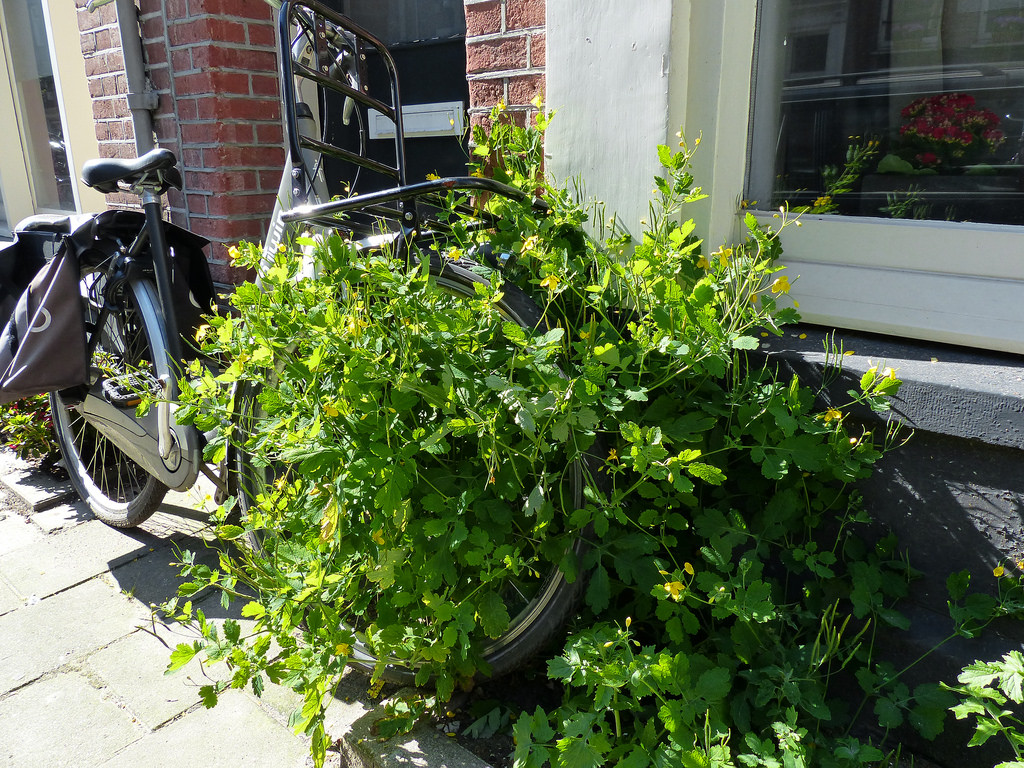 Hobbemakade - Amsterdam